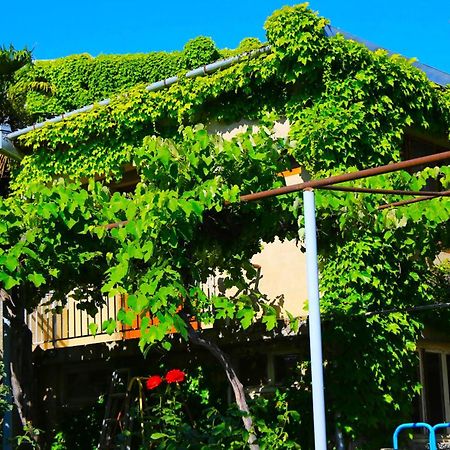 Guest House Green Veranda Mtsʼkhetʼa 外观 照片