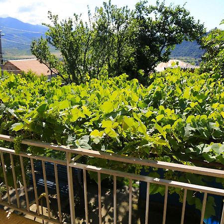 Guest House Green Veranda Mtsʼkhetʼa 外观 照片