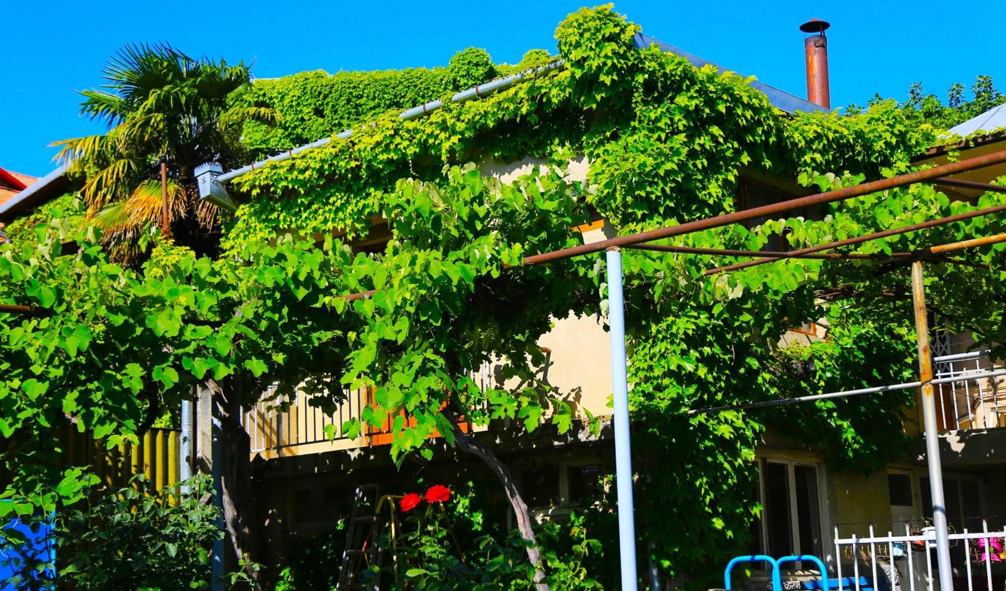 Guest House Green Veranda Mtsʼkhetʼa 外观 照片