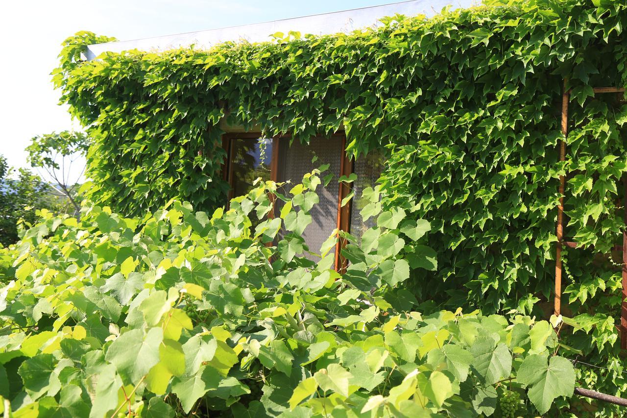 Guest House Green Veranda Mtsʼkhetʼa 外观 照片