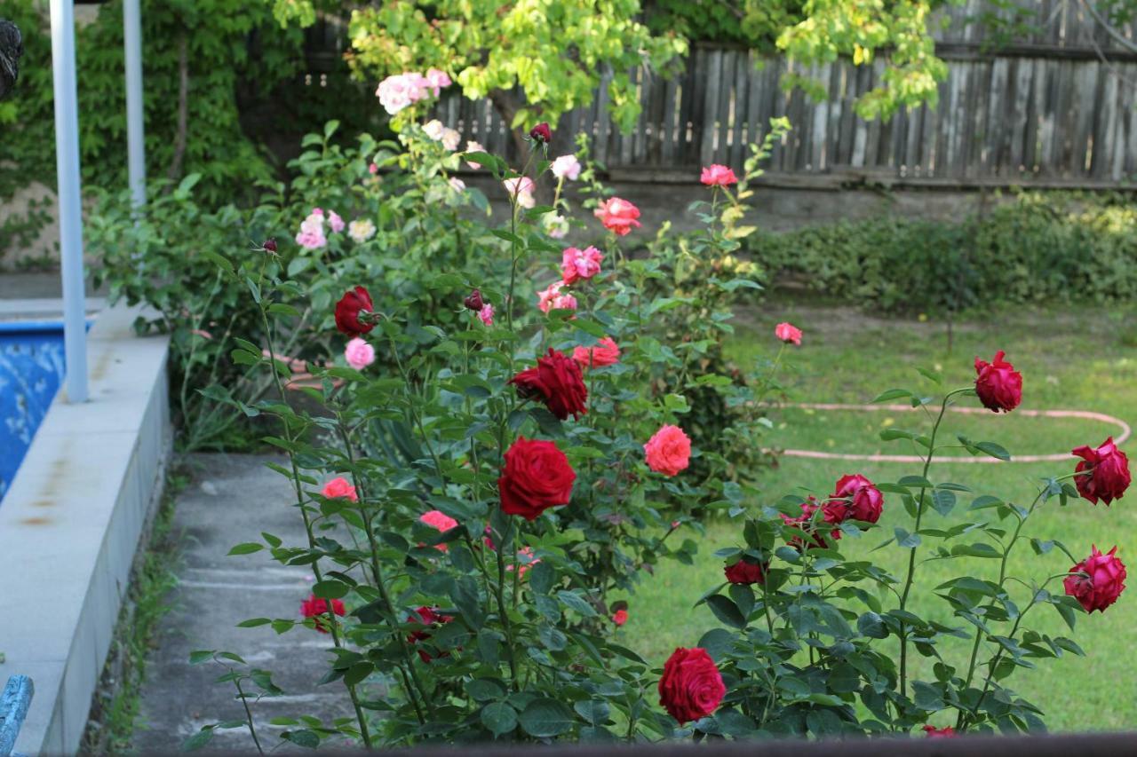Guest House Green Veranda Mtsʼkhetʼa 外观 照片